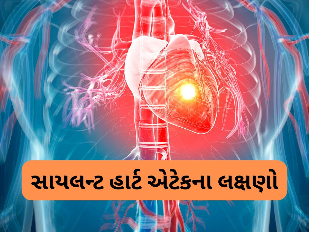 Silent Heart Attack: સાયલન્ટ હાર્ટ એટેક કેવી રીતે આવે ? સમય પહેલા હાર્ટ એકેટ ને ટાળવા શું કરવું ? Silent Heart Attack: સાયલન્ટ હાર્ટ એટેક કેવી રીતે આવે ? સમય પહેલા હાર્ટ એકેટ ને ટાળવા શું કરવું ?