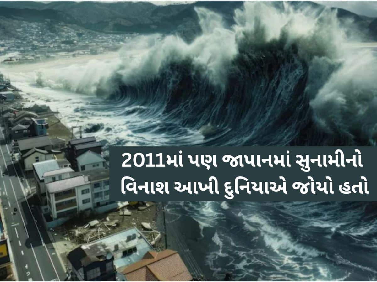 2011 ની જેમ જાપાનમાં ફરી સુનામી આવશે? જાહેર કરાઈ ચેતવણી, ન્યુક્લિયર પ્લાન્ટને કરાયો ખાલી!
