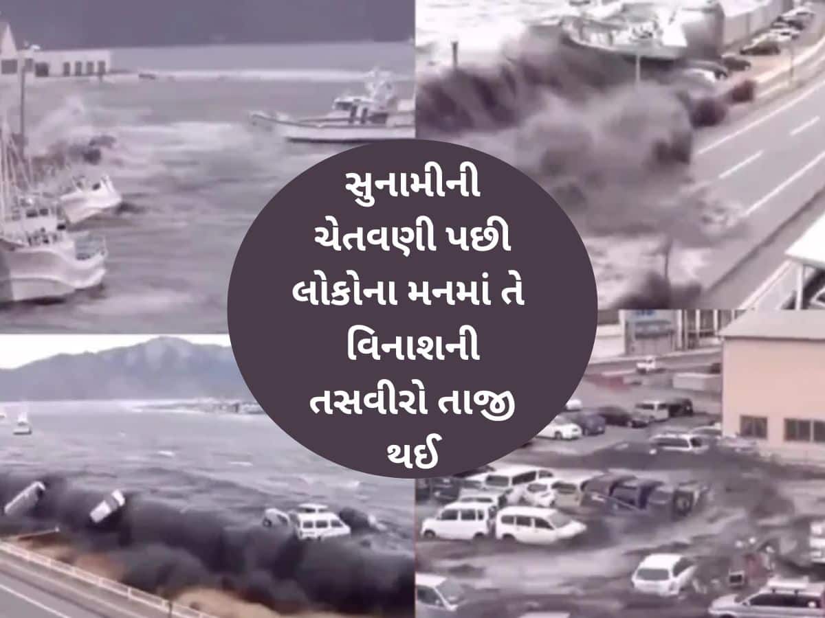 કેવી રીતે આવી હતી 19 હજાર લોકોને મોતની નીંદ સુવાડનાર સુનામી? રસ્તાઓ પર પહોંચી ગયા જહાજો, જુઓ ખૌફનાક વીડિયો
