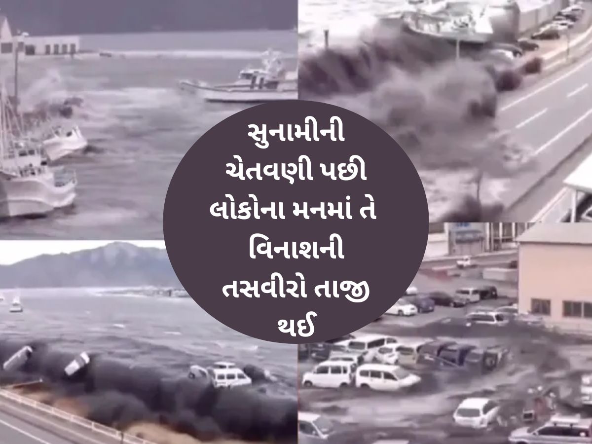 કેવી રીતે આવી હતી 19 હજાર લોકોને મોતની નીંદ સુવાડનાર સુનામી? રસ્તાઓ પર પહોંચી ગયા જહાજો, જુઓ ખૌફનાક વીડિયો કેવી રીતે આવી હતી 19 હજાર લોકોને મોતની નીંદ સુવાડનાર સુનામી? રસ્તાઓ પર પહોંચી ગયા જહાજો, જુઓ ખૌફનાક વીડિયો