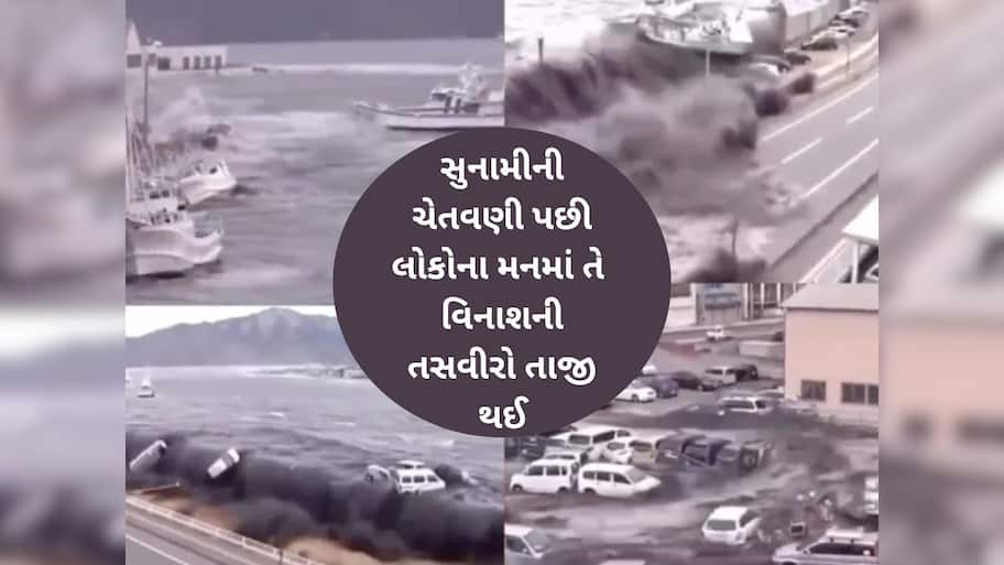 કેવી રીતે આવી હતી 19 હજાર લોકોને મોતની નીંદ સુવાડનાર સુનામી? રસ્તાઓ પર પહોંચી ગયા જહાજો, જુઓ ખૌફનાક વીડિયો