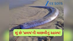 આ માછલીએ પહેલા જ આપી દીધી હતી સુનામીની ચેતવણી? ત્રણ મહિનામાં 4 વખત જોવા મળી