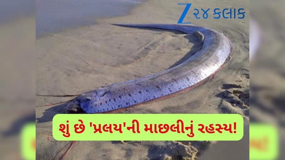 આ માછલીએ પહેલા જ આપી દીધી હતી સુનામીની ચેતવણી? ત્રણ મહિનામાં 4 વખત જોવા મળી