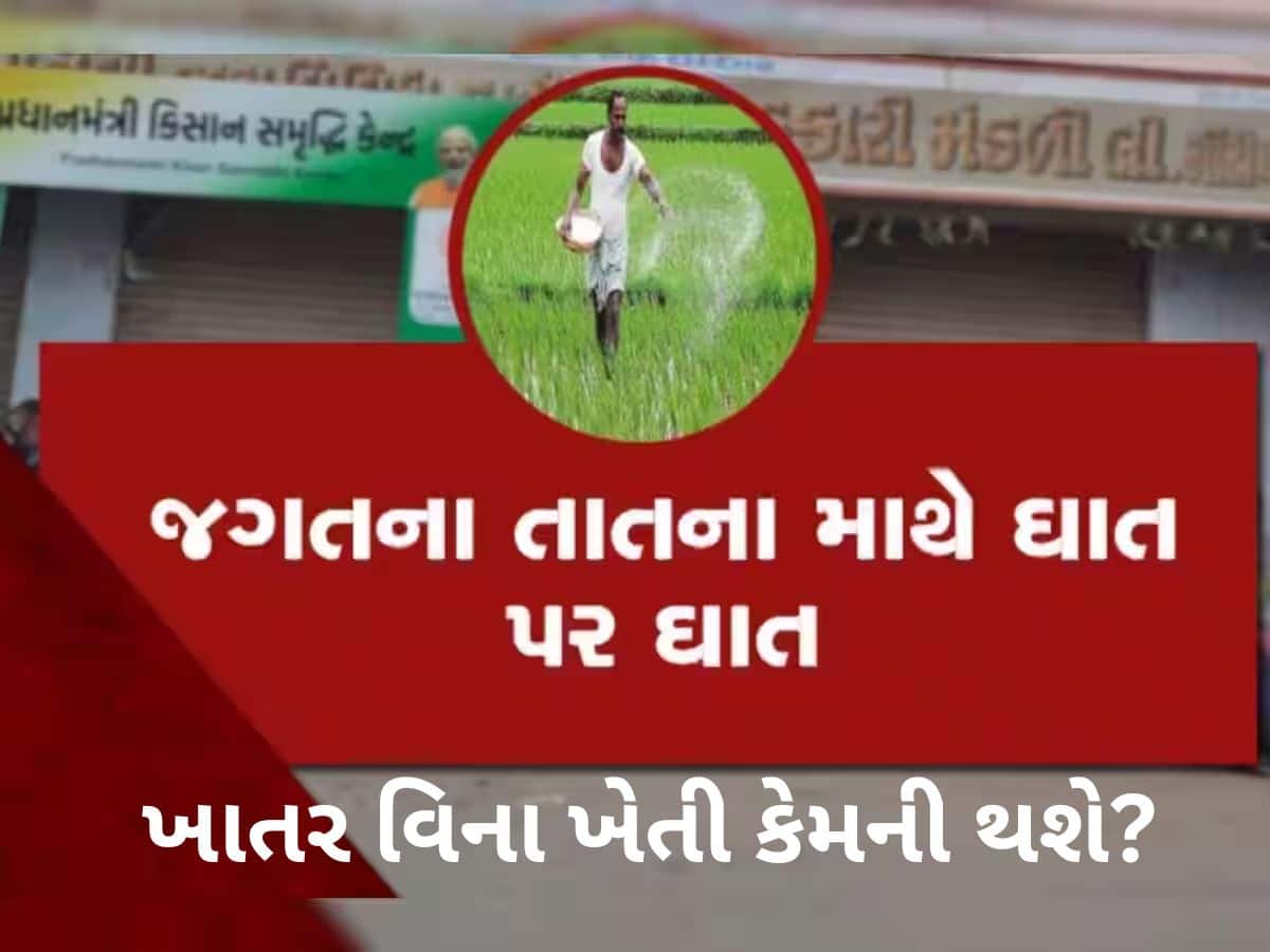 ‘કૃષિ મંત્રી ખોટા નિવેદનો કરે છે, અહીં આવીને જુએ તો ખબર પડે કે ખાતર માટે ખેડૂતો કેટલા હેરાન થઈ રહ્યા છે...!’