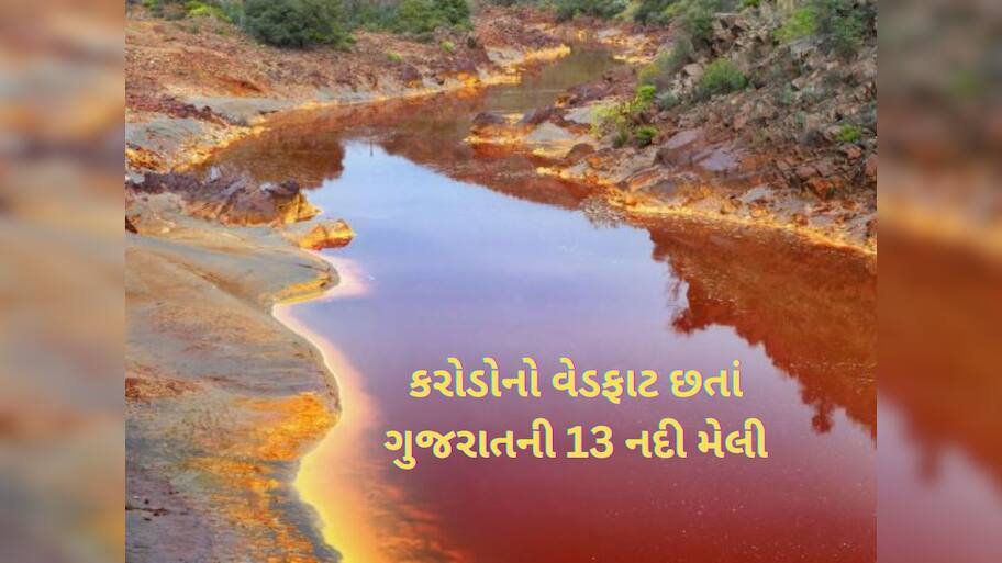 ગુજરાતની આ 13 નદીઓના પાણીને હાથ પણ ન અડાડતા, મેલી નદીઓનું લિસ્ટ આવ્યું 