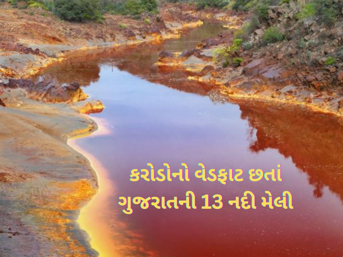 ગુજરાતની આ 13 નદીઓના પાણીને હાથ પણ ન અડાડતા, મેલી નદીઓનું લિસ્ટ આવ્યું ગુજરાતની આ 13 નદીઓના પાણીને હાથ પણ ન અડાડતા, મેલી નદીઓનું લિસ્ટ આવ્યું