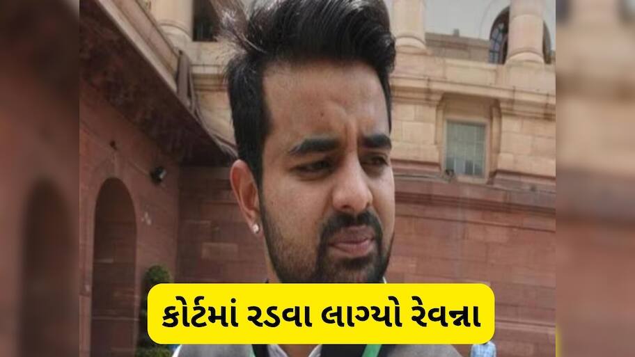  પૂર્વ પ્રધાનમંત્રીનો પૌત્ર બળાત્કાર કેસમાં દોષિત જાહેર, 2000 અશ્લીલ વીડિયો થયા હતા લીક, હવે થશે સજાની જાહેરાત
