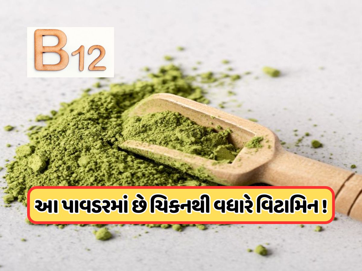 વિટામિન B12નો ભંડાર છે આ લીલું પાંદડું, ઈંડા અને ચિકનથી પણ વધારે છે પાવરફુલ ! વિટામિન B12નો ભંડાર છે આ લીલું પાંદડું, ઈંડા અને ચિકનથી પણ વધારે છે પાવરફુલ !