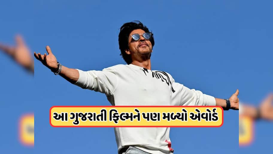 શાહરૂખ ખાન જ નહીં, આ અભિનેતાને પણ મળ્યો શ્રેષ્ઠ અભિનેતાનો રાષ્ટ્રીય પુરસ્કાર, આ હિરોઈનને પણ મારી બાજી