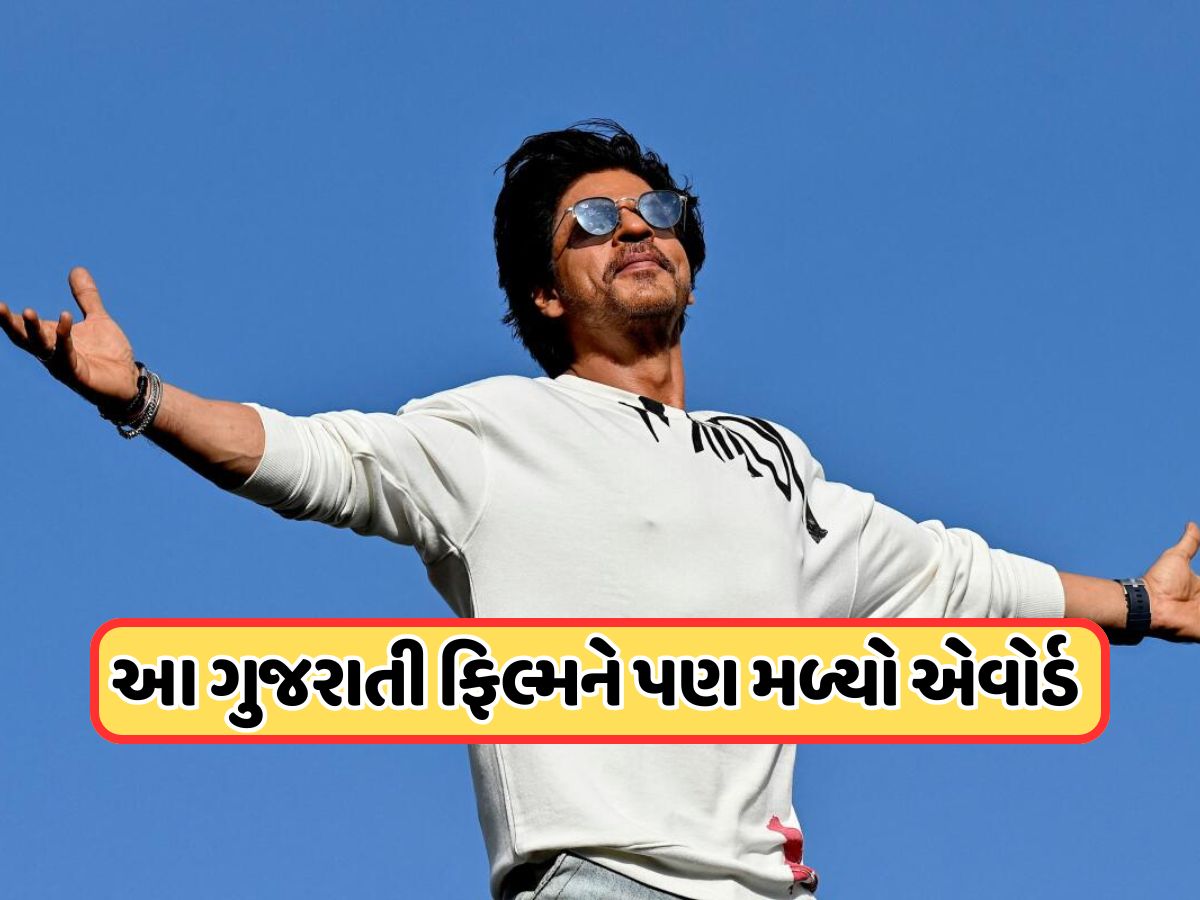 શાહરૂખ ખાન જ નહીં, આ અભિનેતાને પણ મળ્યો શ્રેષ્ઠ અભિનેતાનો રાષ્ટ્રીય પુરસ્કાર, આ હિરોઈનને પણ મારી બાજી શાહરૂખ ખાન જ નહીં, આ અભિનેતાને પણ મળ્યો શ્રેષ્ઠ અભિનેતાનો રાષ્ટ્રીય પુરસ્કાર, આ હિરોઈનને પણ મારી બાજી
