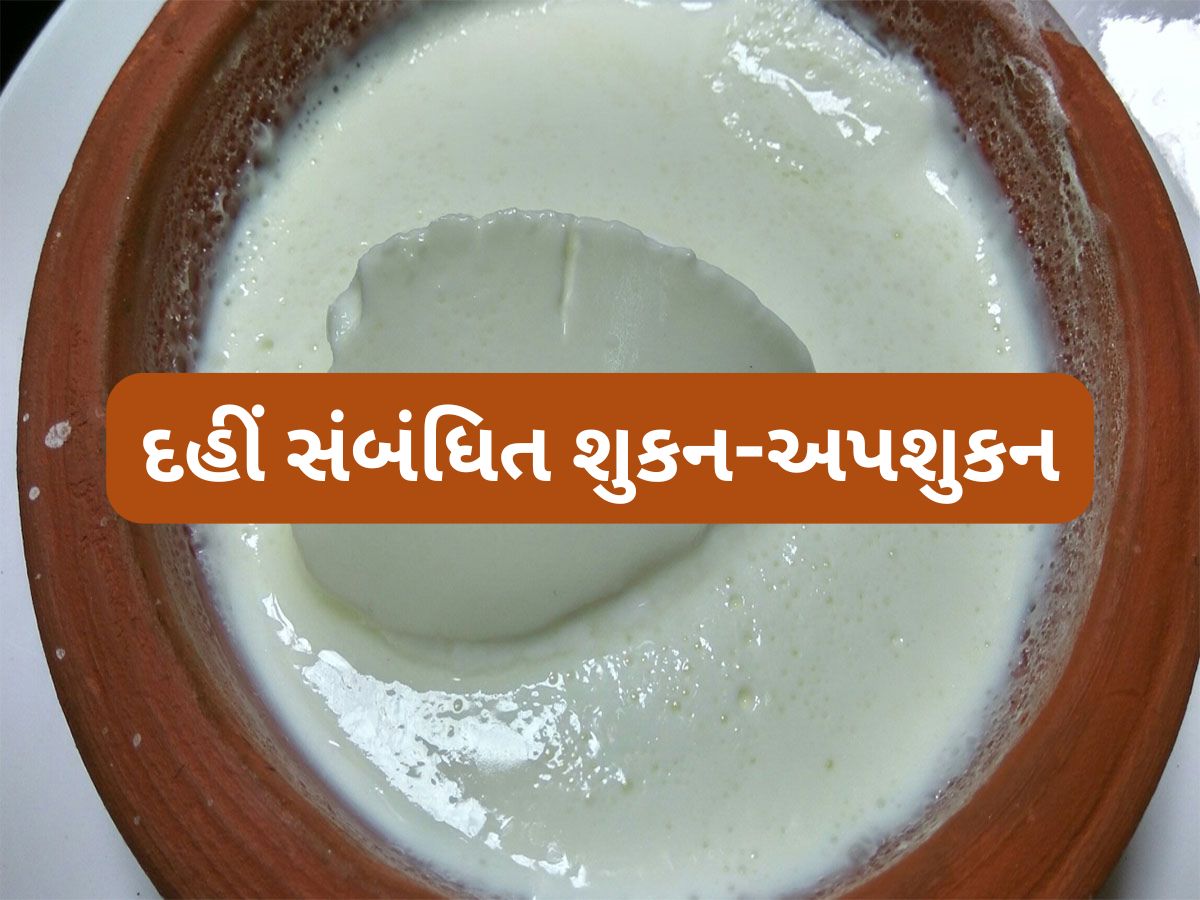 Shakun Apshakun: કેટલીક પરિસ્થિતિમાં દહીં ખાવું અશુભ, જાણો દહીં સંબંધિત મહત્વના શુકન-અપશુકન વિશે Shakun Apshakun: કેટલીક પરિસ્થિતિમાં દહીં ખાવું અશુભ, જાણો દહીં સંબંધિત મહત્વના શુકન-અપશુકન વિશે