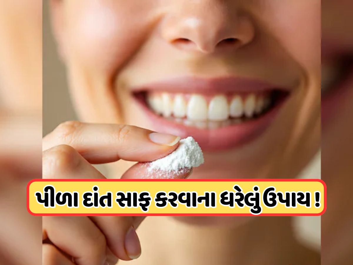 દાંતોની પીળાશ એક મિનિટમાં સાફ કરશે આ વસ્તું, જાણો કેવી રીતે કરવો ઉપયોગ! દાંતોની પીળાશ એક મિનિટમાં સાફ કરશે આ વસ્તું, જાણો કેવી રીતે કરવો ઉપયોગ!