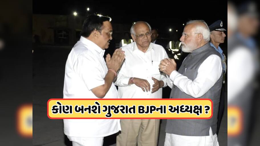 ગુજરાતને આવતા અઠવાડિયે મળશે નવા પ્રદેશ પ્રમુખ ? આ જ્ઞાતીમાંથી હશે નવા અધ્યક્ષ ! જાણો 