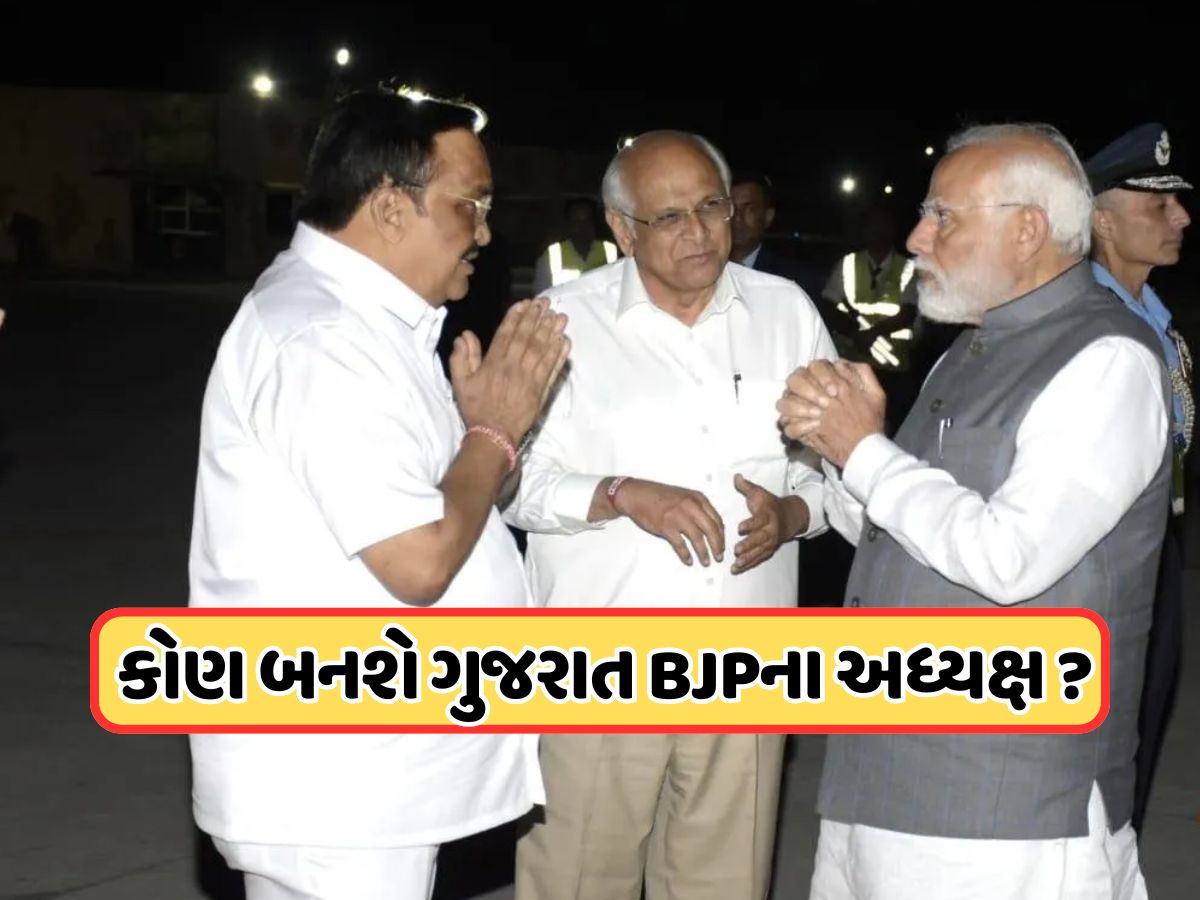 ગુજરાતને આવતા અઠવાડિયે મળશે નવા પ્રદેશ પ્રમુખ ? આ જ્ઞાતીમાંથી હશે નવા અધ્યક્ષ ! જાણો ગુજરાતને આવતા અઠવાડિયે મળશે નવા પ્રદેશ પ્રમુખ ? આ જ્ઞાતીમાંથી હશે નવા અધ્યક્ષ ! જાણો