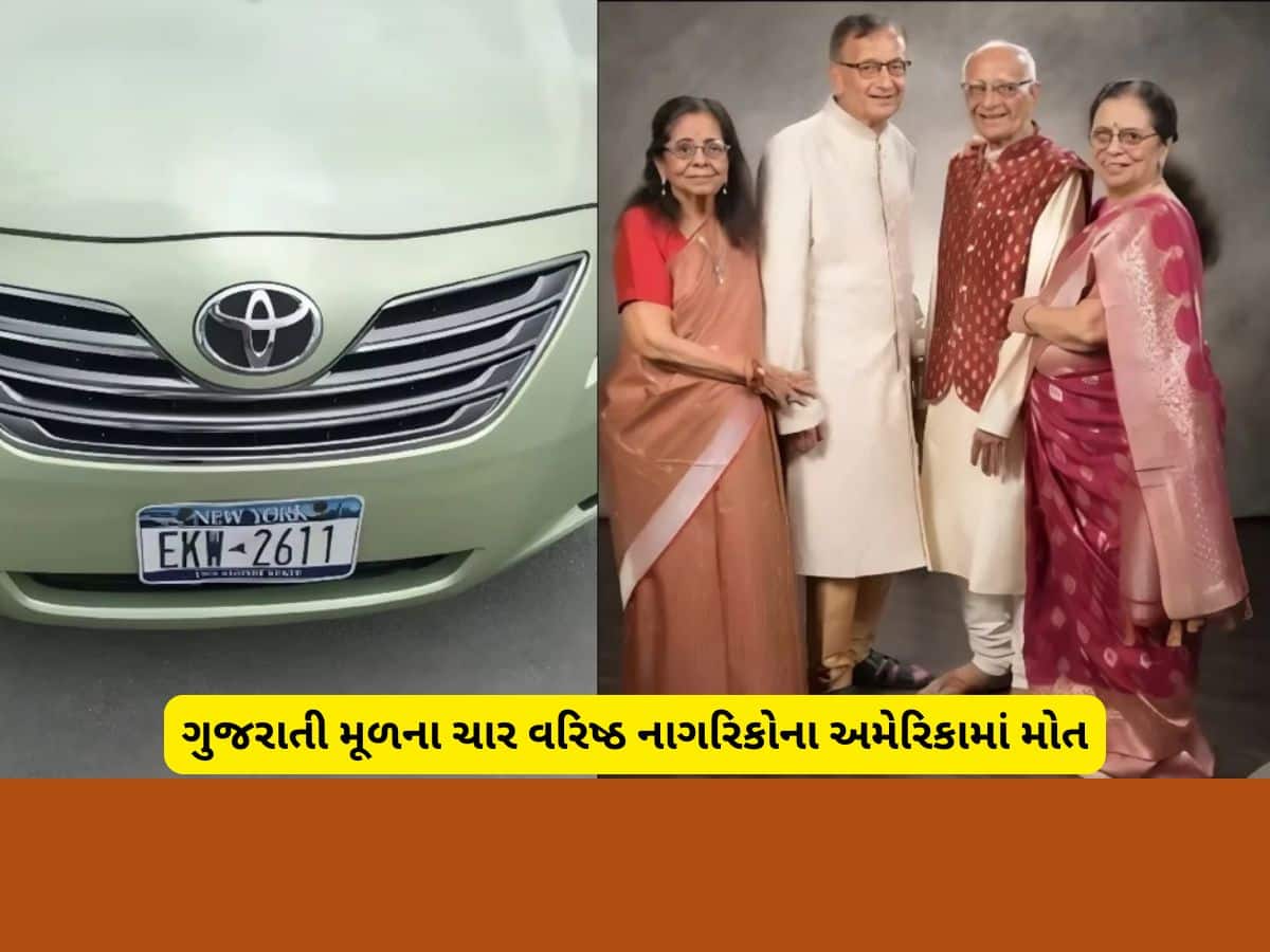 અમેરિકામાં અકસ્માતમાં ચાર ગુજરાતીઓના મોત, પાંચ દિવસથી ગુમ વૃદ્ધોની આખરે ભાળ મળી 