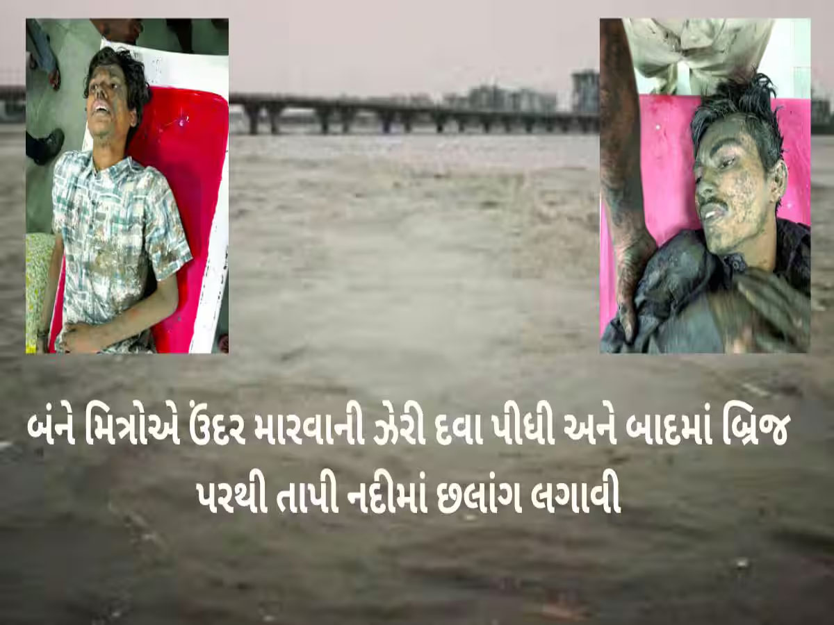 ફ્રેન્ડશીપ ડે એ મિત્રોની જોડી તૂટી, એકસાથે જીવન ટૂંકાવવા ગયા, એકનું મોત થયું અને બીજો બચી ગયો ફ્રેન્ડશીપ ડે એ મિત્રોની જોડી તૂટી, એકસાથે જીવન ટૂંકાવવા ગયા, એકનું મોત થયું અને બીજો બચી ગયો