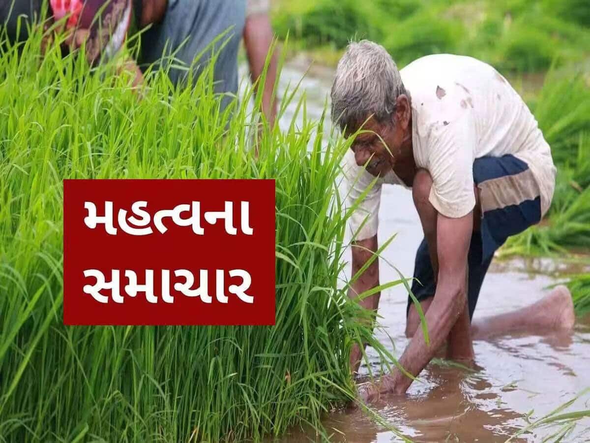 ગુજરાતના ખેડૂતો માટે શરૂ કરાયો હેલ્પલાઈન નંબર, ખાતર મુદ્દે કોઈ પણ સમસ્યા હોય તો આ નંબર પર સંપર્ક કરો 
