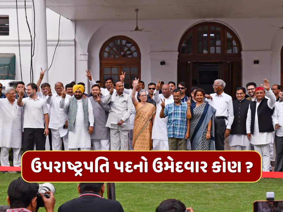 ઉપરાષ્ટ્રપતિ ચૂંટણીમાં વિપક્ષનો ઉમેદવાર કોણ હશે ? સામે છે આ મુશ્કેલ પડકાર, શું છે બિહાર-આંધ્રનું ગણિત ?