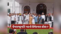 ઉપરાષ્ટ્રપતિ ચૂંટણીમાં વિપક્ષનો ઉમેદવાર કોણ હશે ? સામે છે આ મુશ્કેલ પડકાર