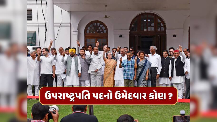 ઉપરાષ્ટ્રપતિ ચૂંટણીમાં વિપક્ષનો ઉમેદવાર કોણ હશે ? સામે છે આ મુશ્કેલ પડકાર, શું છે બિહાર-આંધ્રનું ગણિત ?
