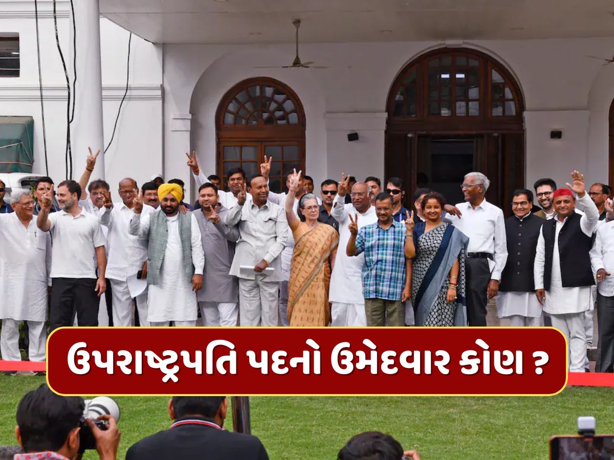 ઉપરાષ્ટ્રપતિ ચૂંટણીમાં વિપક્ષનો ઉમેદવાર કોણ હશે ? સામે છે આ મુશ્કેલ પડકાર, શું છે બિહાર-આંધ્રનું ગણિત ? ઉપરાષ્ટ્રપતિ ચૂંટણીમાં વિપક્ષનો ઉમેદવાર કોણ હશે ? સામે છે આ મુશ્કેલ પડકાર, શું છે બિહાર-આંધ્રનું ગણિત ?