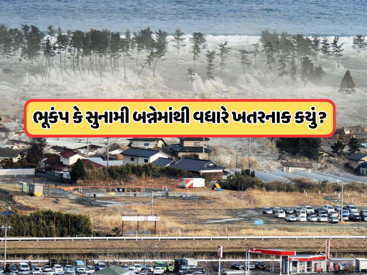 ભૂકંપ વધારે તેજ આવે છે કે સુનામી, બેમાંથી કયું વધુ ખતરનાક છે?