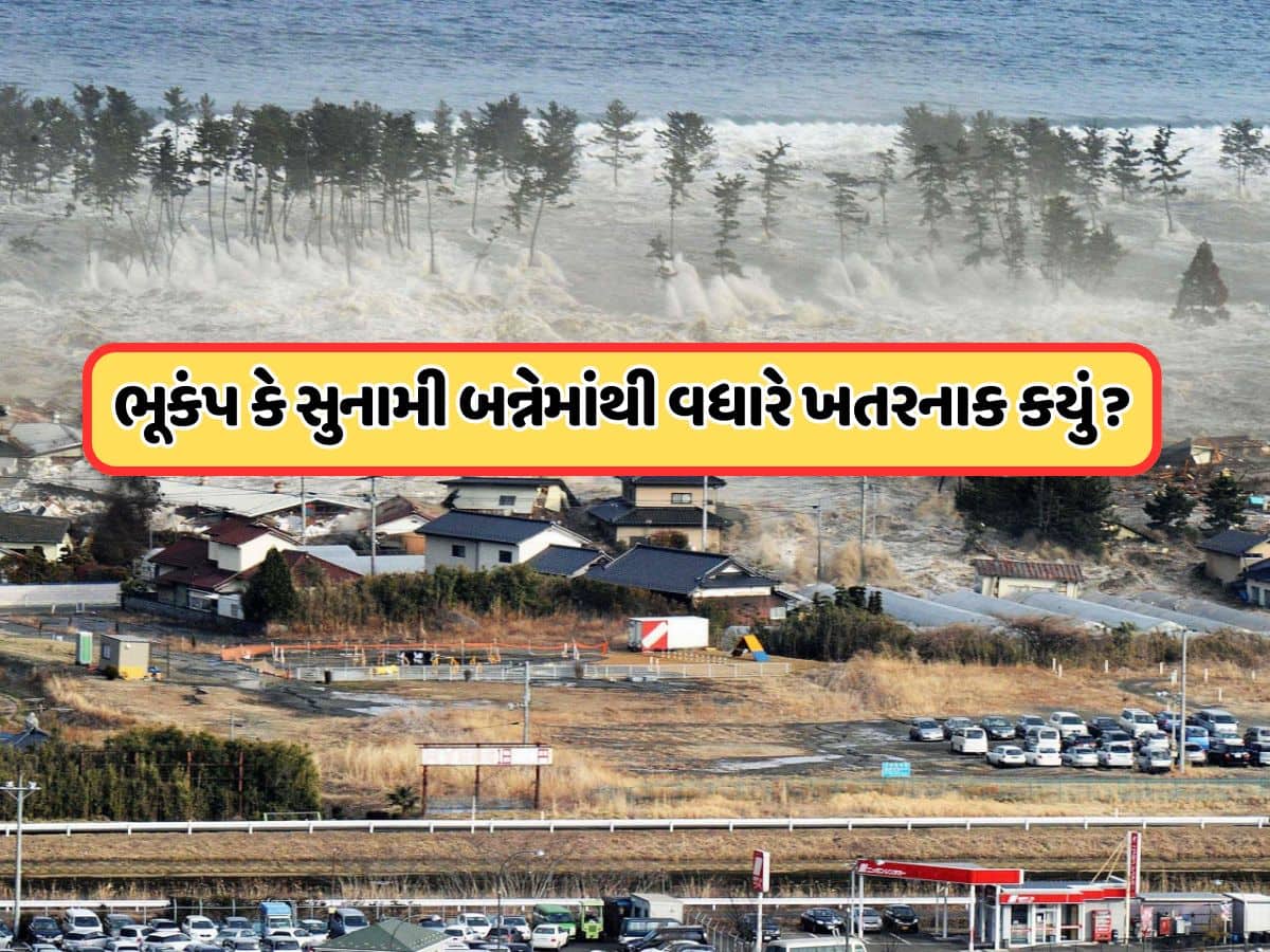 ભૂકંપ વધારે તેજ આવે છે કે સુનામી, બેમાંથી કયું વધુ ખતરનાક છે?