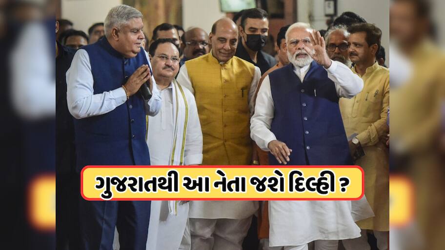 જગદીપ ધનખડ પછી કોણ બનશે ઉપરાષ્ટ્રપતિ? ગુજરાતથી સામે આવ્યું નવું નામ! જાણો