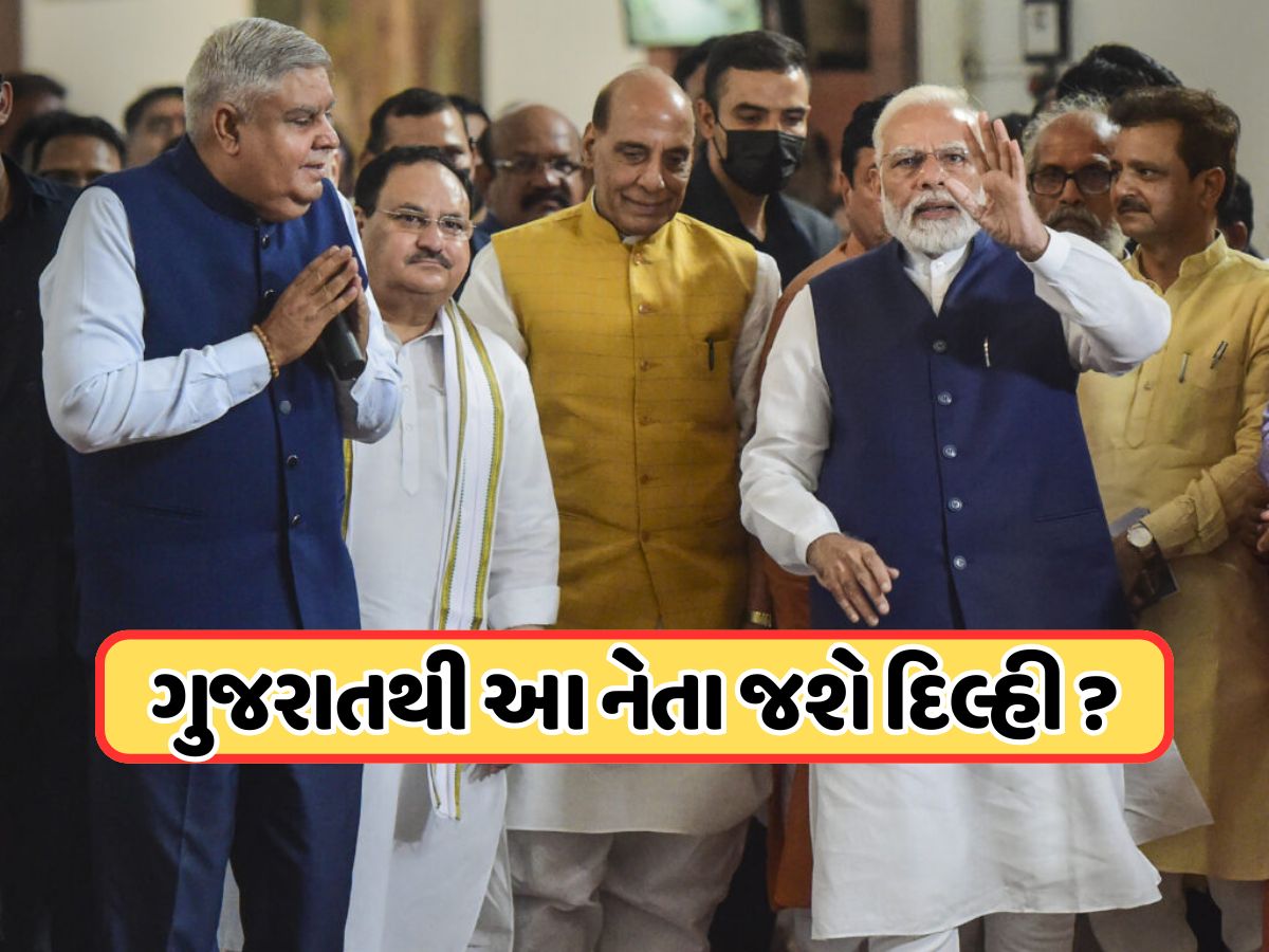 જગદીપ ધનખડ પછી કોણ બનશે ઉપરાષ્ટ્રપતિ? ગુજરાતથી સામે આવ્યું નવું નામ! જાણો જગદીપ ધનખડ પછી કોણ બનશે ઉપરાષ્ટ્રપતિ? ગુજરાતથી સામે આવ્યું નવું નામ! જાણો