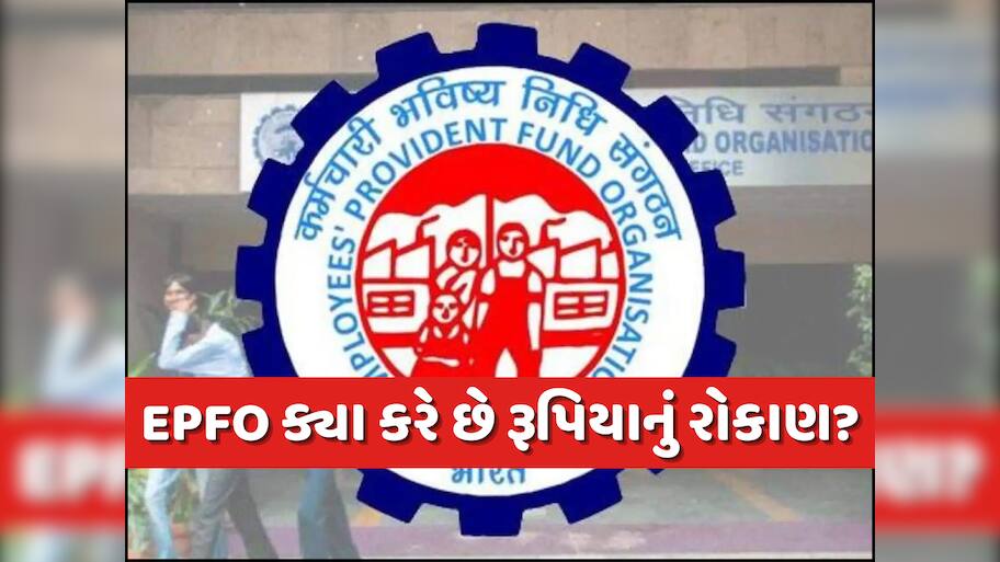 તમારા PFના રૂપિયા માત્ર જમા જ નથી થતા, EPFO આ રીતે કરે છે રોકાણ; જાણો કેટલી જોખમમાં છે તમારી કમાણી?