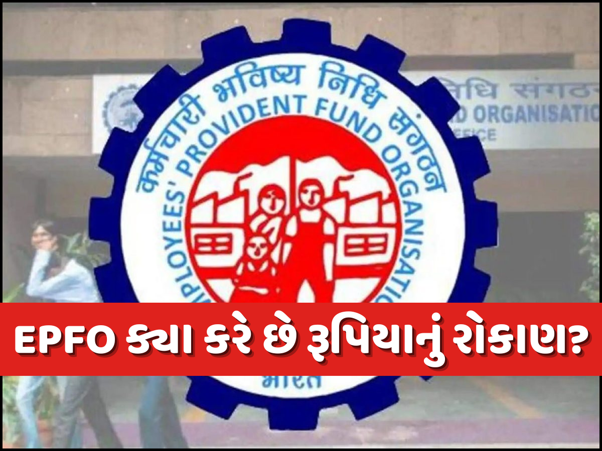 તમારા PFના રૂપિયા માત્ર જમા જ નથી થતા, EPFO આ રીતે કરે છે રોકાણ; જાણો કેટલી જોખમમાં છે તમારી કમાણી? તમારા PFના રૂપિયા માત્ર જમા જ નથી થતા, EPFO આ રીતે કરે છે રોકાણ; જાણો કેટલી જોખમમાં છે તમારી કમાણી?