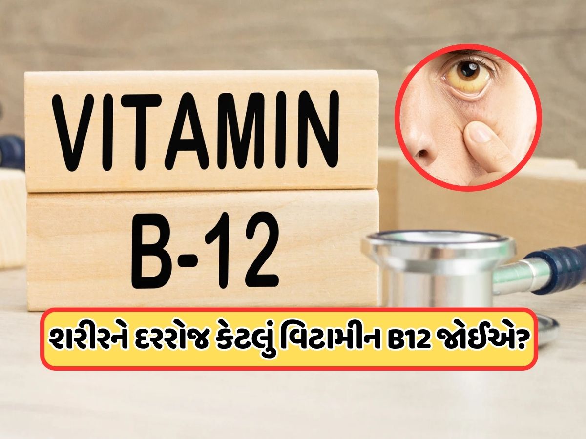 વિટામિન B12ની કમી પર શરીરમાં કયા લક્ષણો દેખાય છે? તમારા માટે વિટામિન B12 કેટલું જરૂરી છે? વિટામિન B12ની કમી પર શરીરમાં કયા લક્ષણો દેખાય છે? તમારા માટે વિટામિન B12 કેટલું જરૂરી છે?