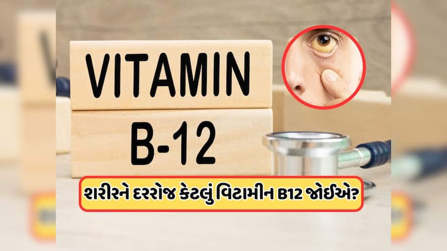 વિટામિન B12ની કમી પર શરીરમાં કયા લક્ષણો દેખાય છે? તમારા માટે વિટામિન B12 કેટલું જરૂરી છે?