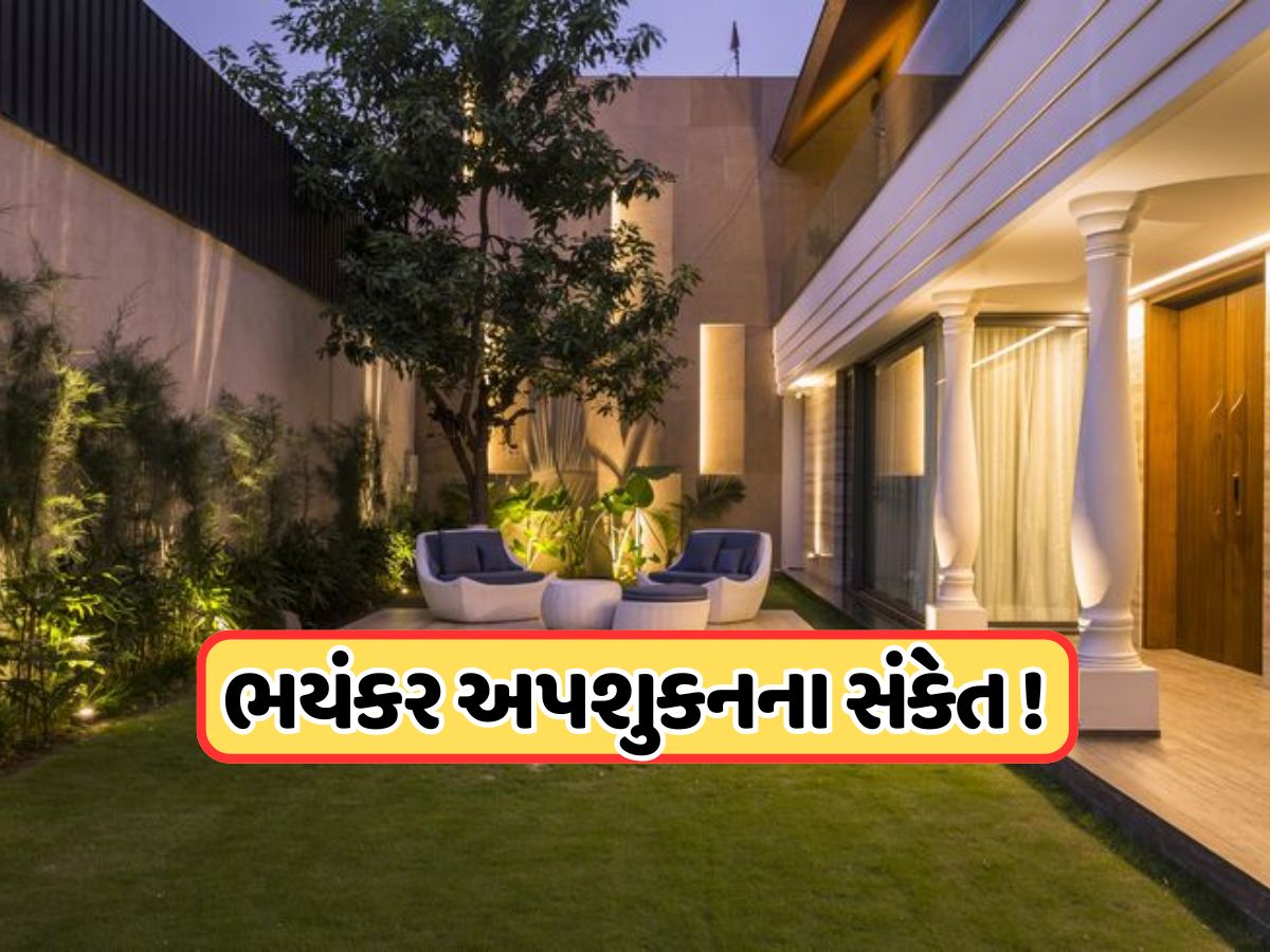 ઘરમાં આ પક્ષીનું દેખાવું ખૂબ જ અશુભ, બરબાદ થઈ જાય છે જીવન, ખરાબ સમય નથી છોડતો તમારો પીછો! ઘરમાં આ પક્ષીનું દેખાવું ખૂબ જ અશુભ, બરબાદ થઈ જાય છે જીવન, ખરાબ સમય નથી છોડતો તમારો પીછો!