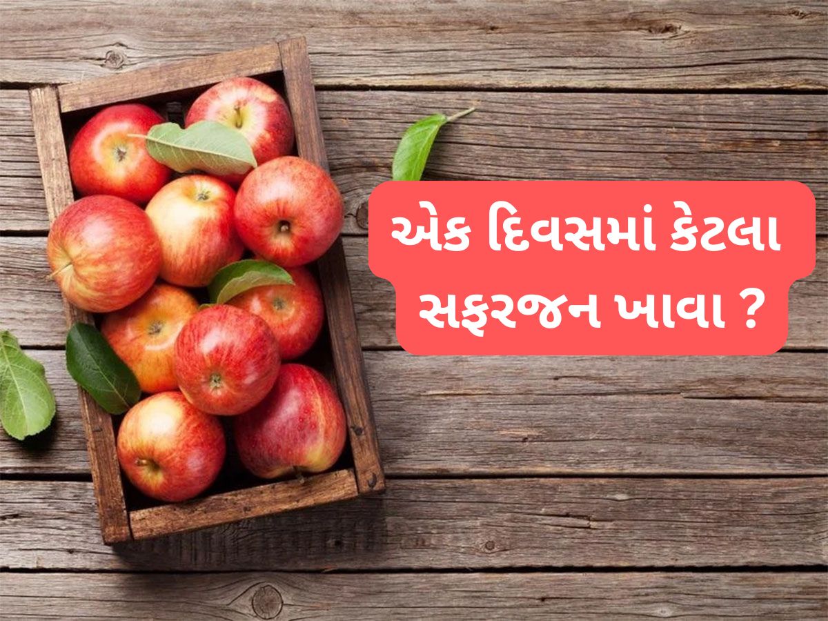 Apple: એક દિવસમાં કેટલા સફરજન ખાવા ? કેવી રીતે ખાવાથી ફાયદો કરે સફરજન જાણો Apple: એક દિવસમાં કેટલા સફરજન ખાવા ? કેવી રીતે ખાવાથી ફાયદો કરે સફરજન જાણો