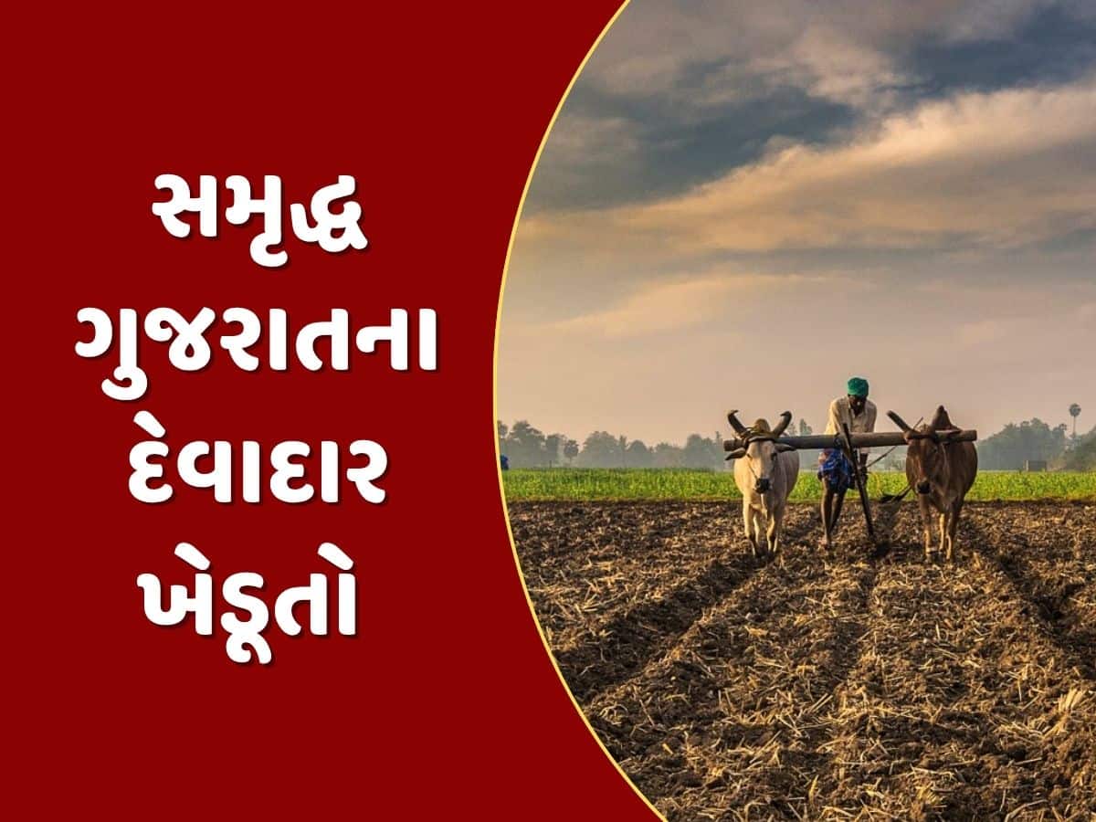 કેવી રીતે થશે આવક બમણી ? ગુજરાતના દરેક ખેડૂતના માથે છે રૂપિયા 56 હજારનું દેવું