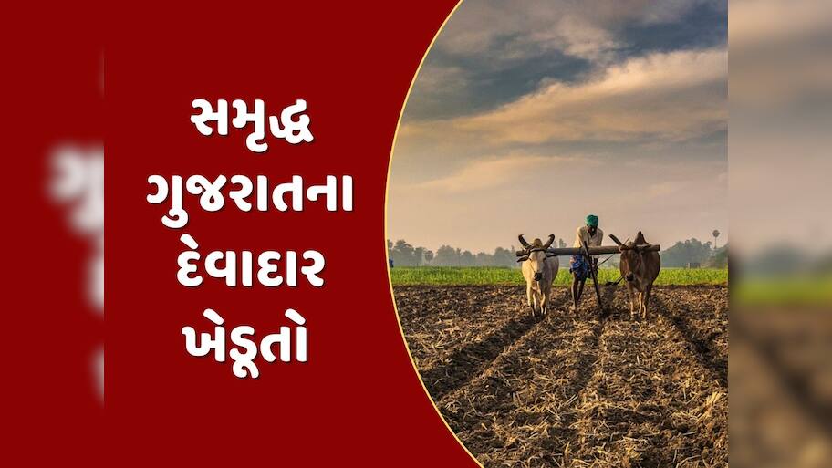 કેવી રીતે થશે આવક બમણી ? ગુજરાતના દરેક ખેડૂતના માથે છે રૂપિયા 56 હજારનું દેવું