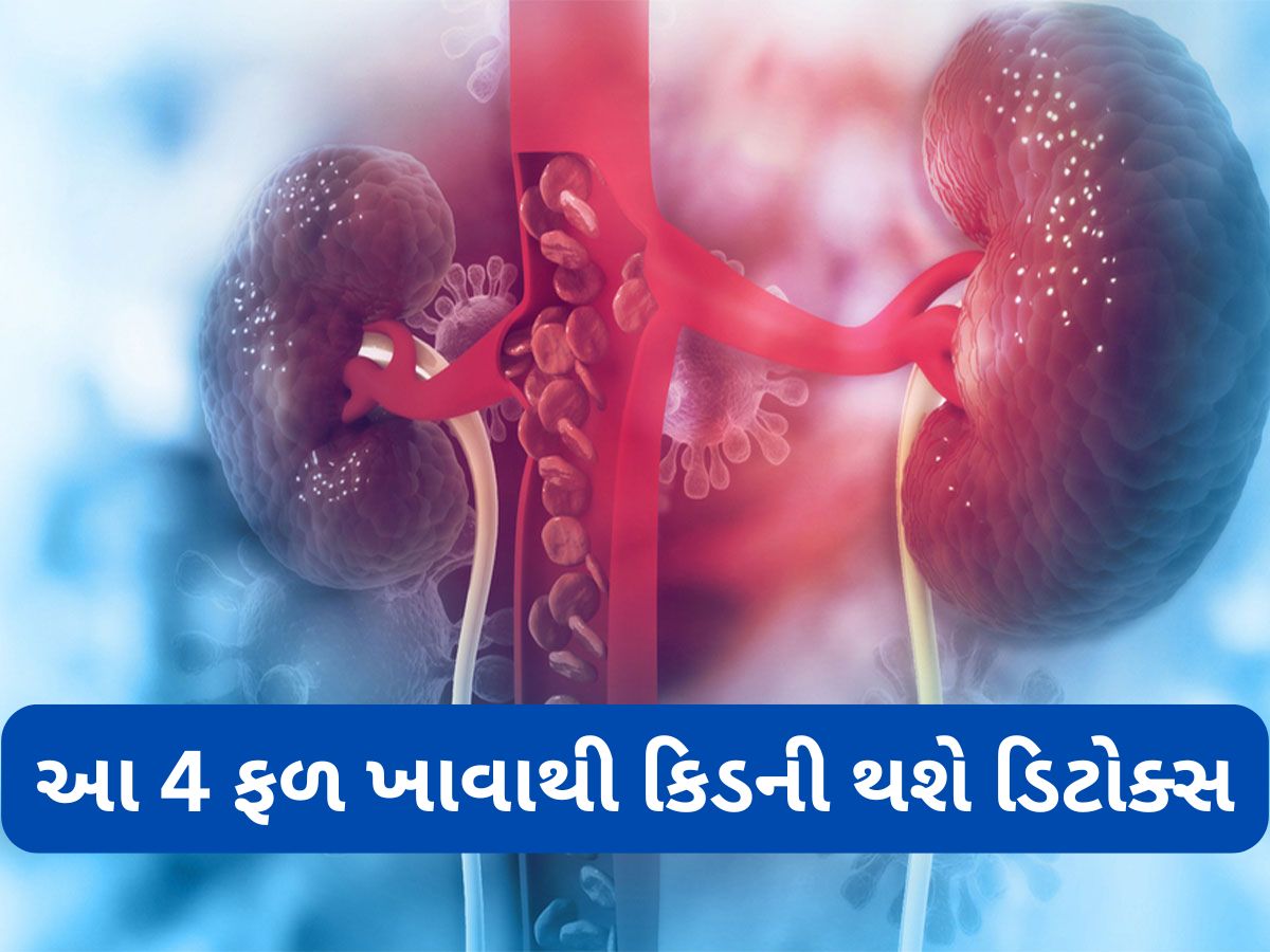 Kidney: ગંદી કિડનીને સાફ કરવામાં મદદ કરશે આ 4 ફળ, રોજ કોઈપણ એક ખાવું Kidney: ગંદી કિડનીને સાફ કરવામાં મદદ કરશે આ 4 ફળ, રોજ કોઈપણ એક ખાવું