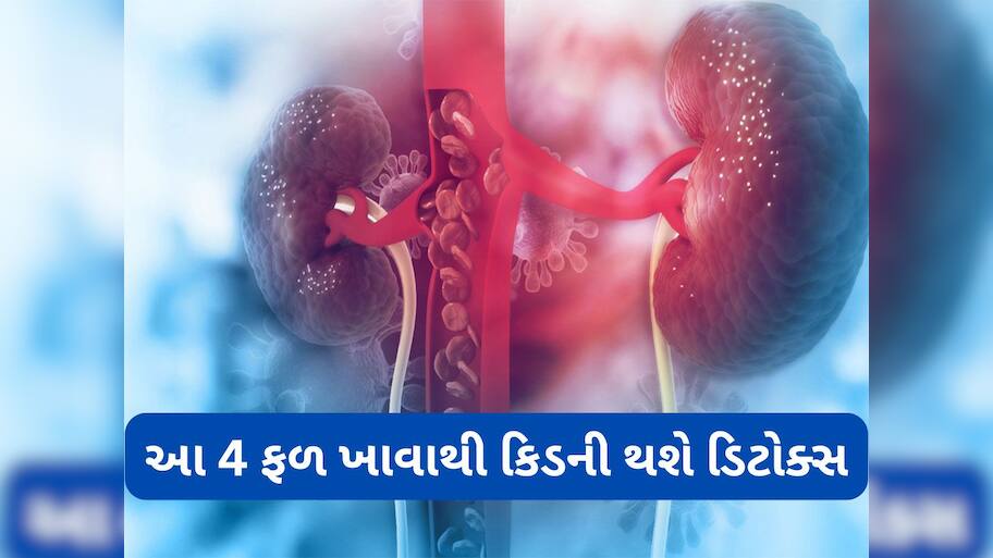 Kidney: ગંદી કિડનીને સાફ કરવામાં મદદ કરશે આ 4 ફળ, રોજ કોઈપણ એક ખાવું