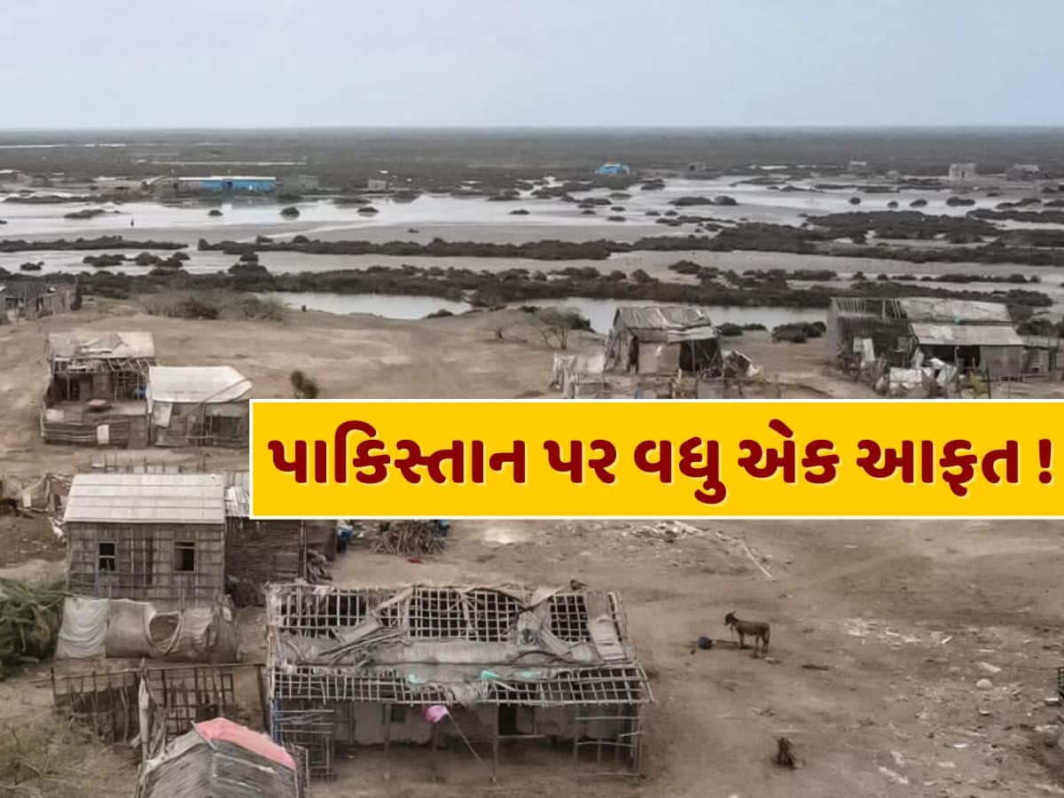 પાકિસ્તાન પર વધુ એક આફત, સિંધુ નદીનું 80% પાણી ખતમ...40 ગામ ઉજ્જડ, 12 લાખ લોકોનું સ્થળાંતર