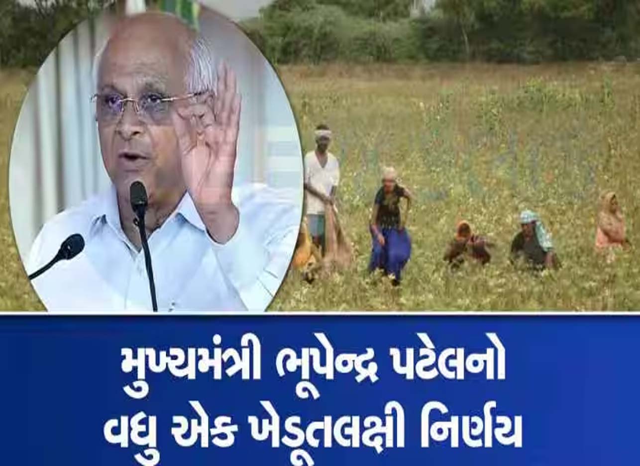 ગુજરાતના ખેડૂતો માટે ભૂપેન્દ્ર પટેલનો મહત્વપૂર્ણ નિર્ણય; કેબિનેટ બેઠકમાં અપાઈ સૂચના ગુજરાતના ખેડૂતો માટે ભૂપેન્દ્ર પટેલનો મહત્વપૂર્ણ નિર્ણય; કેબિનેટ બેઠકમાં અપાઈ સૂચના