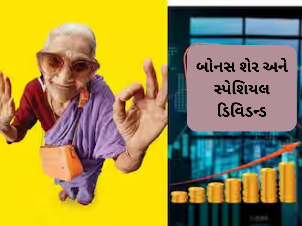 1:1 Bonus Share, Special Dividend: ઈન્વેસ્ટરો માટે ખુશખબર, આ આઇકોનિક કંપનીએ આપી ડબલ ગિફ્ટ 1:1 Bonus Share, Special Dividend: ઈન્વેસ્ટરો માટે ખુશખબર, આ આઇકોનિક કંપનીએ આપી ડબલ ગિફ્ટ