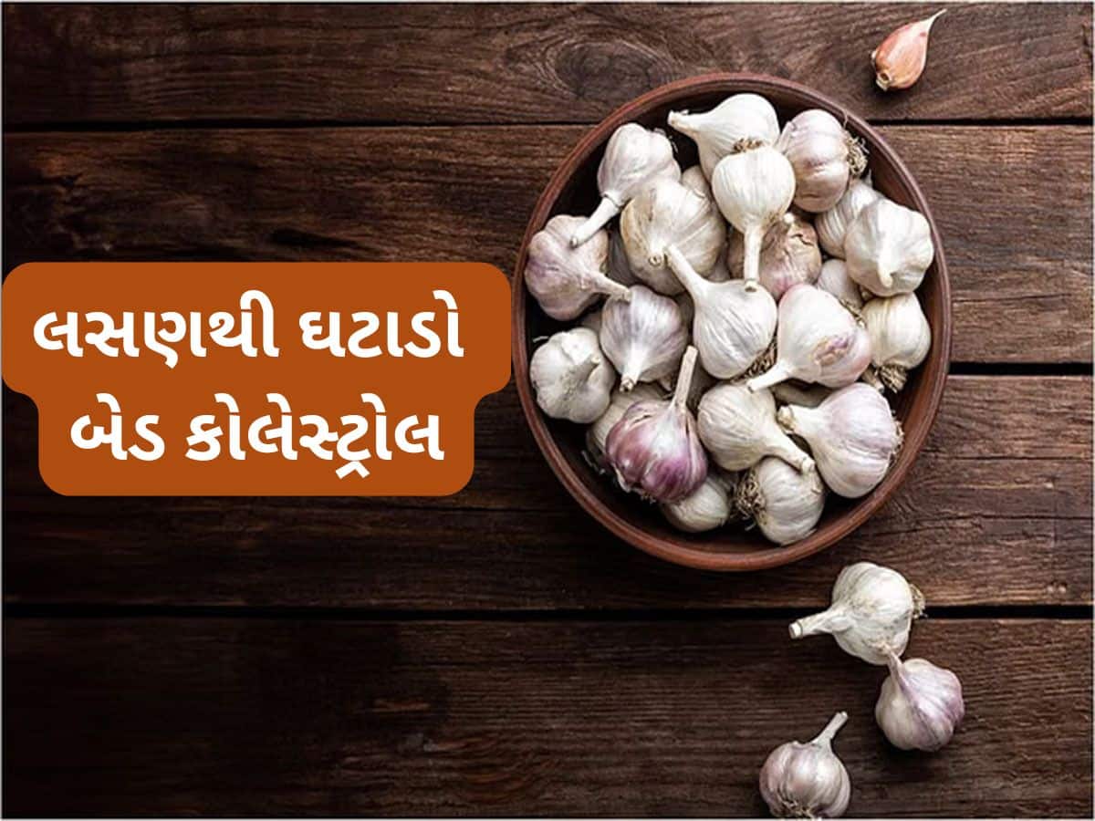 Bad Cholesterol: બેડ કોલેસ્ટ્રોલ ઓછું કરવા 3 રીતે ખાઈ શકાય છે લસણ, નસોમાં જામેલી ગંદકી થઈ જશે સાફ