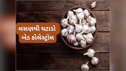 બેડ કોલેસ્ટ્રોલ ઓછું કરવા 3 રીતે ખાઈ શકાય છે લસણ, નસોમાં જામેલી ગંદકી થઈ જશે સાફ