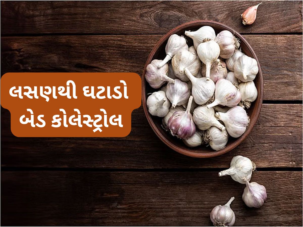 Bad Cholesterol: બેડ કોલેસ્ટ્રોલ ઓછું કરવા 3 રીતે ખાઈ શકાય છે લસણ, નસોમાં જામેલી ગંદકી થઈ જશે સાફ Bad Cholesterol: બેડ કોલેસ્ટ્રોલ ઓછું કરવા 3 રીતે ખાઈ શકાય છે લસણ, નસોમાં જામેલી ગંદકી થઈ જશે સાફ