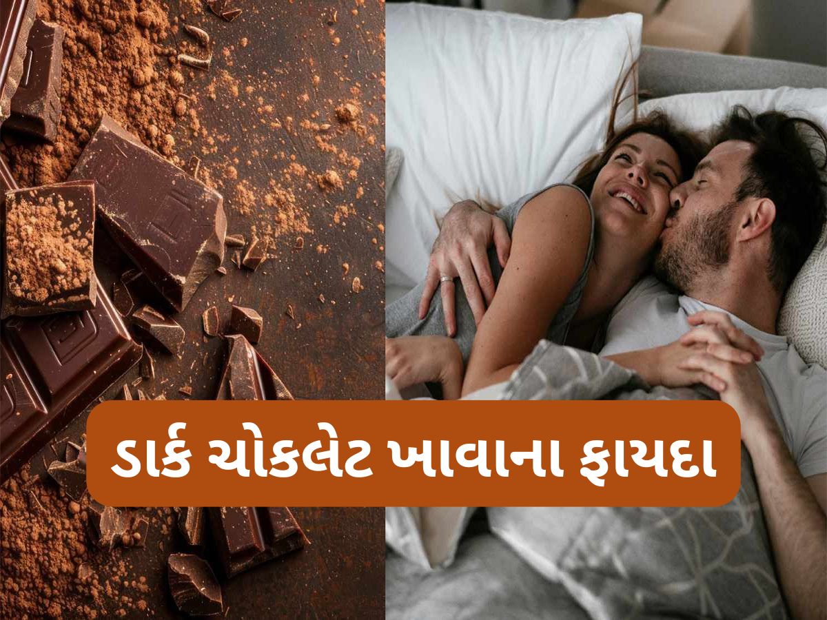 Dark Chocolate: ડાર્ક ચોકલેટ અને ફિઝિકલ રિલેશનશિપ વચ્ચે શું છે કનેકશન ? જાણો શા માટે કપલ ખાય છે ડાર્ક ચોકલેટ Dark Chocolate: ડાર્ક ચોકલેટ અને ફિઝિકલ રિલેશનશિપ વચ્ચે શું છે કનેકશન ? જાણો શા માટે કપલ ખાય છે ડાર્ક ચોકલેટ