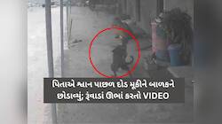 રૂંવાડાં ઊભા કરતો Live Video: ગલૂડિયાની માફક બાળકને જડબામાં ઉઠાવીને શ્વાન ભાગ્યું...