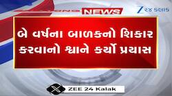 આ જુઓ ખૂંખાર કૂતરાએ કેવી રીતે નાના બાળક પર કર્યો હુમલો