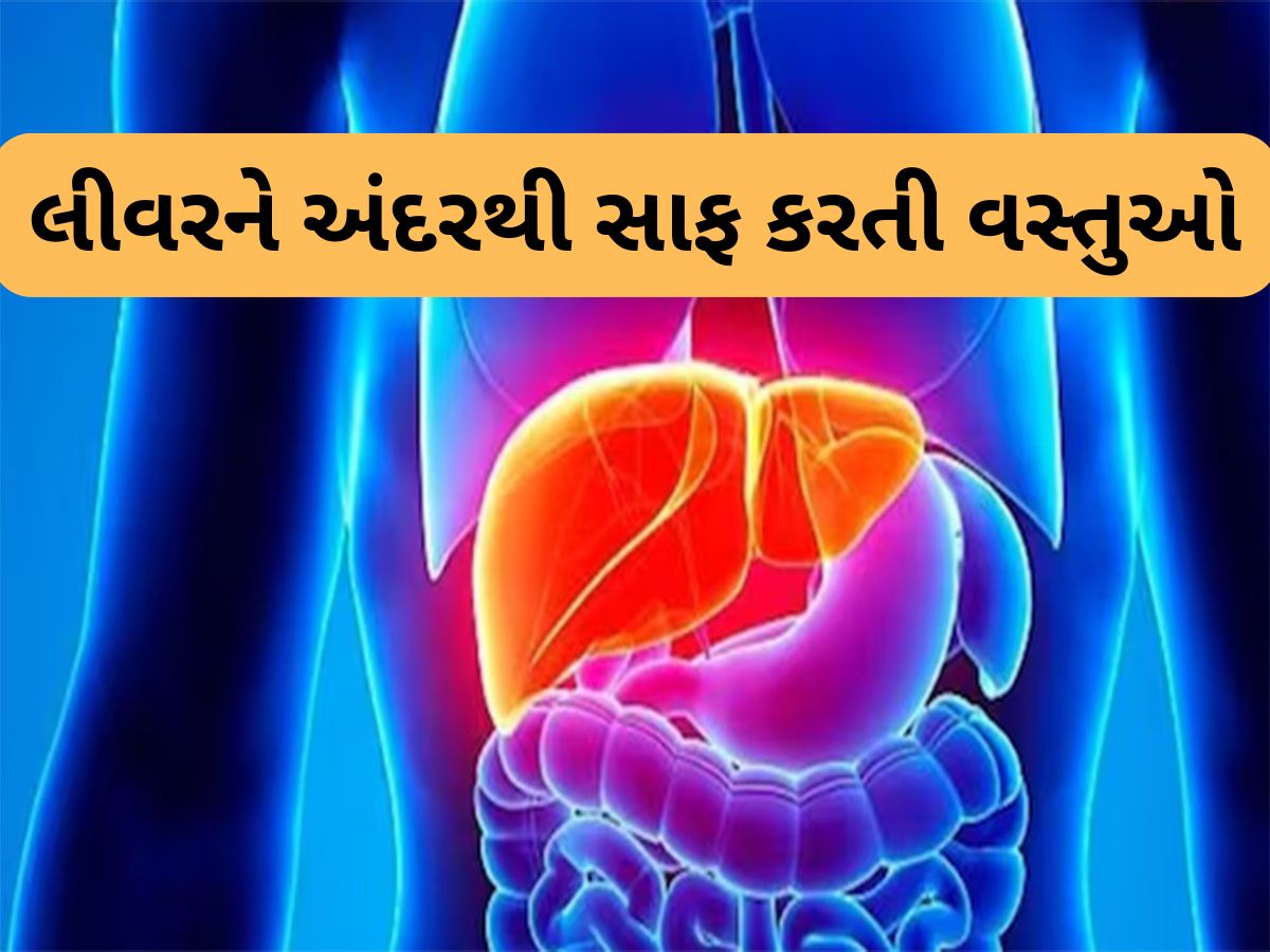 Liver Repair: હળદરથી લઈ લસણ સુધીની આ વસ્તુઓ લીવરને અંદરથી કરશે સાફ, ડાયટમાં કરો સામેલ Liver Repair: હળદરથી લઈ લસણ સુધીની આ વસ્તુઓ લીવરને અંદરથી કરશે સાફ, ડાયટમાં કરો સામેલ