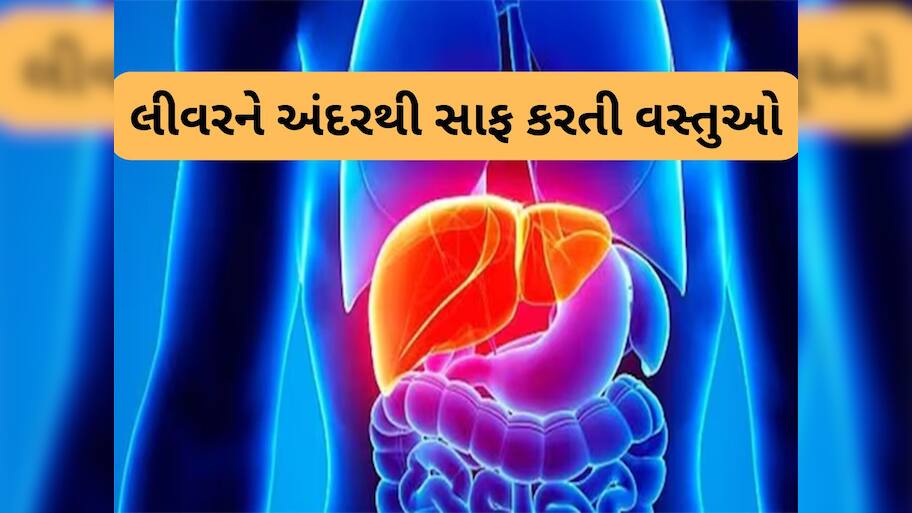 Liver Repair: હળદરથી લઈ લસણ સુધીની આ વસ્તુઓ લીવરને અંદરથી કરશે સાફ, ડાયટમાં કરો સામેલ